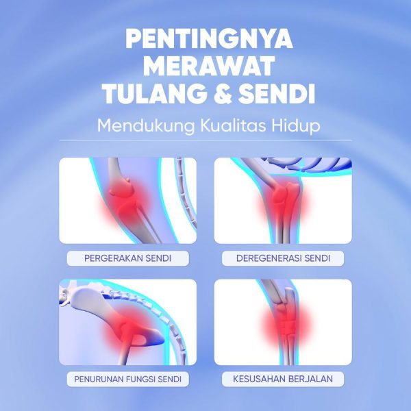 MAJES Hip & Joint Pet Supplement Sendi Hewan Peliharaan - Image 4