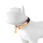 Kalung Anjing LB