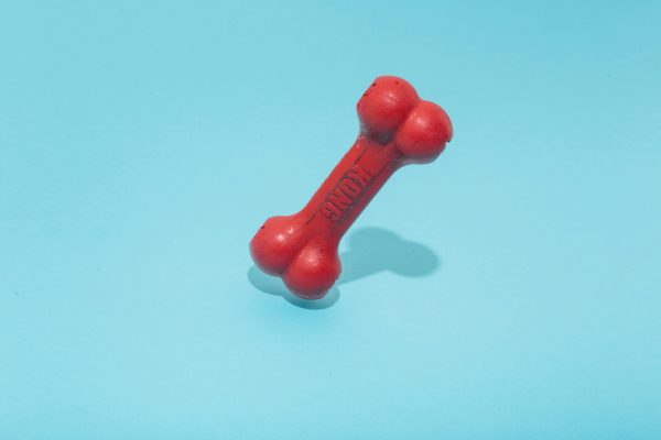 chew toy