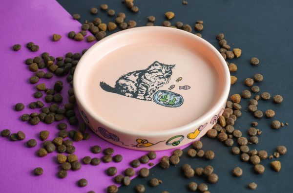 plate makan kucing