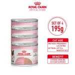 Royal Cain Mother & Babycat