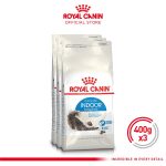 Royal Cain Indoor Long Hair